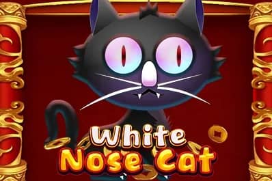 White Nose Cat slot preview