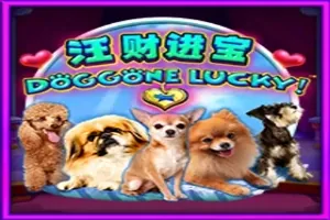 Doggone Lucky! slot preview