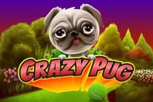 Crazy Pug slot preview
