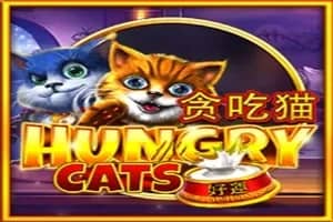 Hungry Cats slot preview