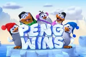 PengWins slot preview