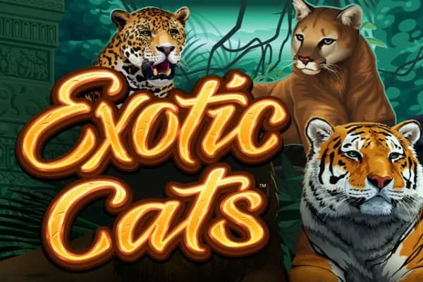 Exotic Cats slot preview