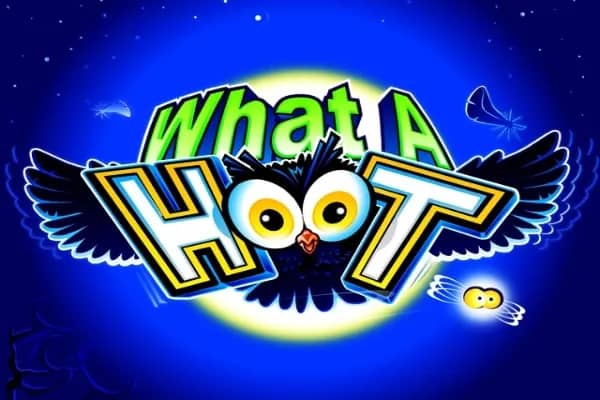 What A Hoot slot preview