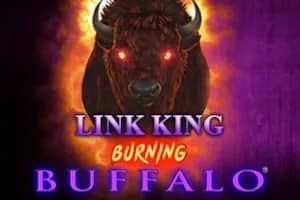 Link King Burning Buffalo slot preview