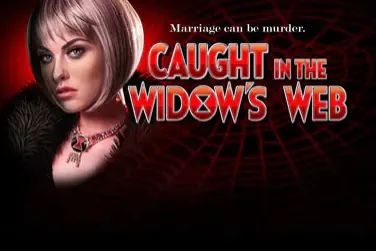 Caught In The Widow's Web slot preview