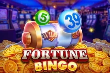 Fortune Bingo bingo game preview