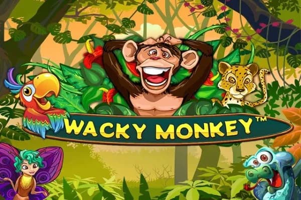 Wacky Monkey slot preview