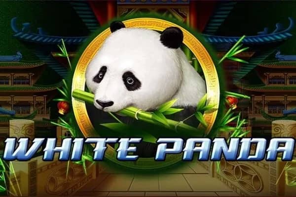 Full Moon: White Panda slot preview