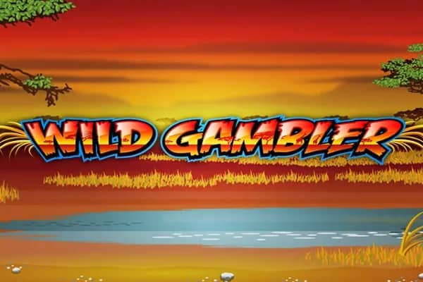 Wild Gambler slot preview