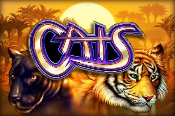 Cats slot preview