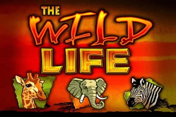 The Wild Life slot preview
