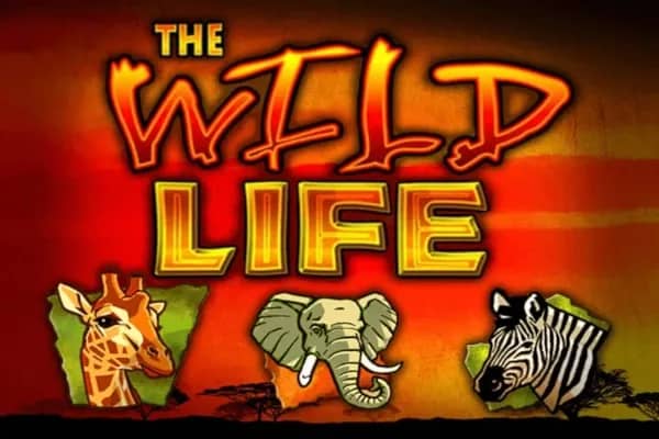 The Wild Life slot preview