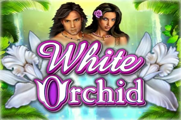 White Orchid slot preview