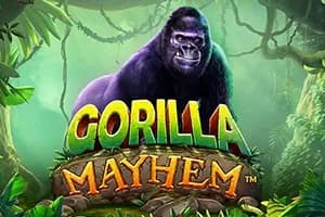 Gorilla Mayhem slot preview