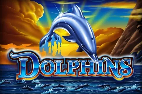 Dolphins slot preview