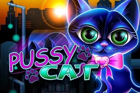 Pussy Cat slot preview