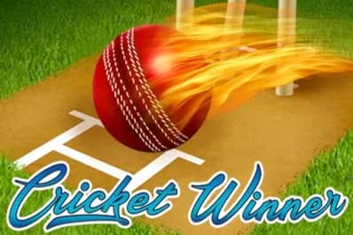 Cricket Winner slot preview