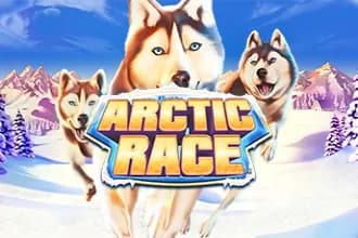 Arctic Race slot preview