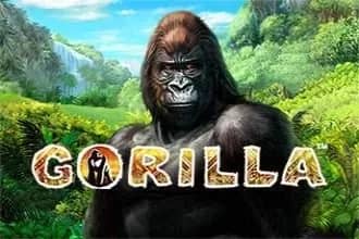 Gorilla slot preview