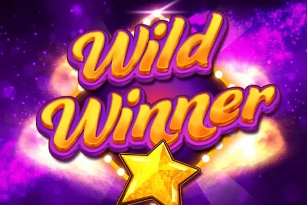 Wild Winner slot preview