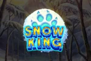 Snow King slot preview