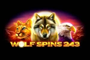 Wolf Spins 243 slot preview