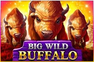 Big Wild Buffalo slot preview
