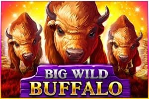 Big Wild Buffalo slot preview