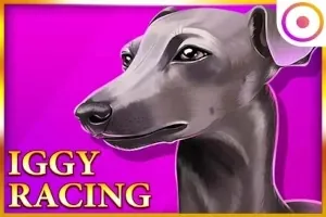 Iggy Racing slot preview