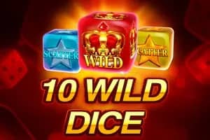 10 Wild Dice slot preview