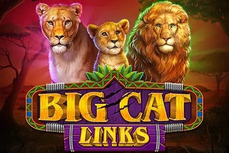 Big Cat Links slot preview