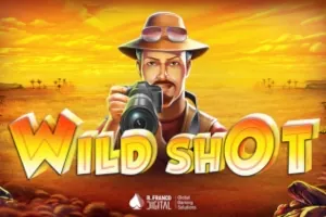 Wild Shot slot preview