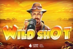 Wild Shot slot preview