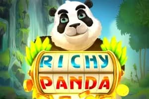 Richy Panda slot preview