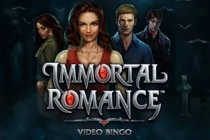 Immortal Romance Video Bingo bingo game preview