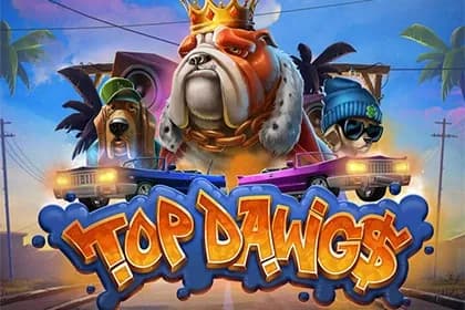 Top Dawgs slot preview