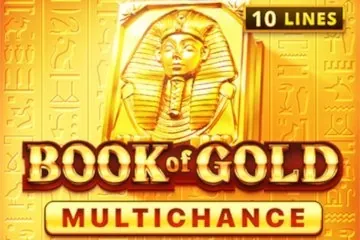 Book of Gold: Multichance slot preview