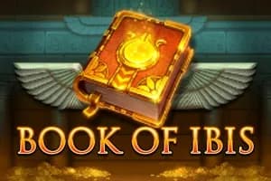 Book of Ibis slot preview