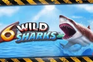 6 Wild Sharks slot preview