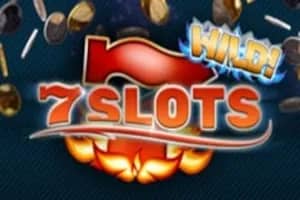 7 Slots slot preview