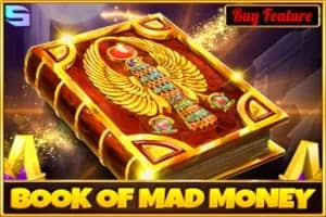 Book of Mad Money slot preview