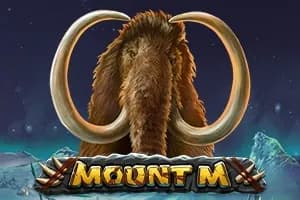 Mount M slot preview
