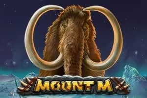 Mount M slot preview