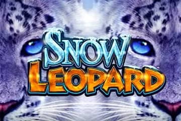 Snow Leopard slot preview
