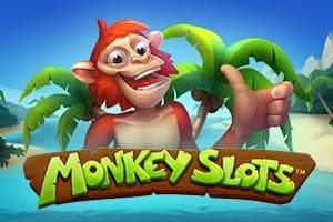 Monkey Slots slot preview