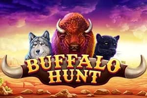 Buffalo Hunt slot preview