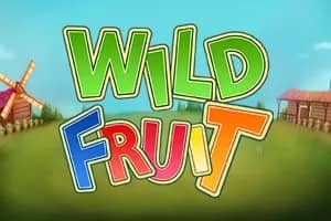 Wild Fruit slot preview
