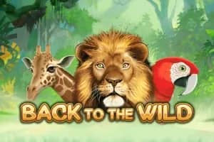 Back to the Wild slot preview