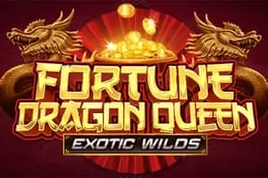 Fortune Dragon Queen slot preview