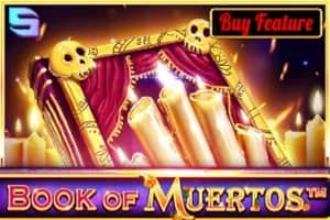 Book of Muertos slot preview